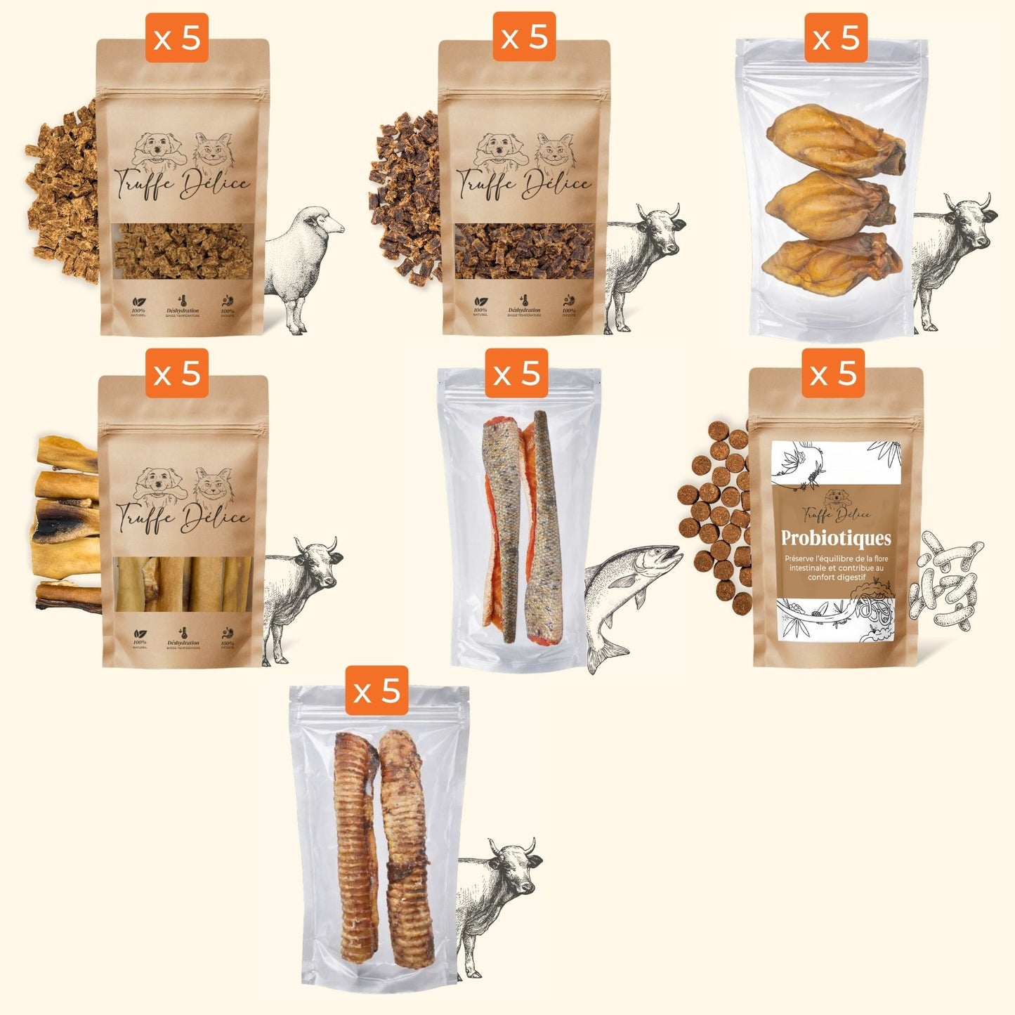 Coffret top ventes ⭐️
