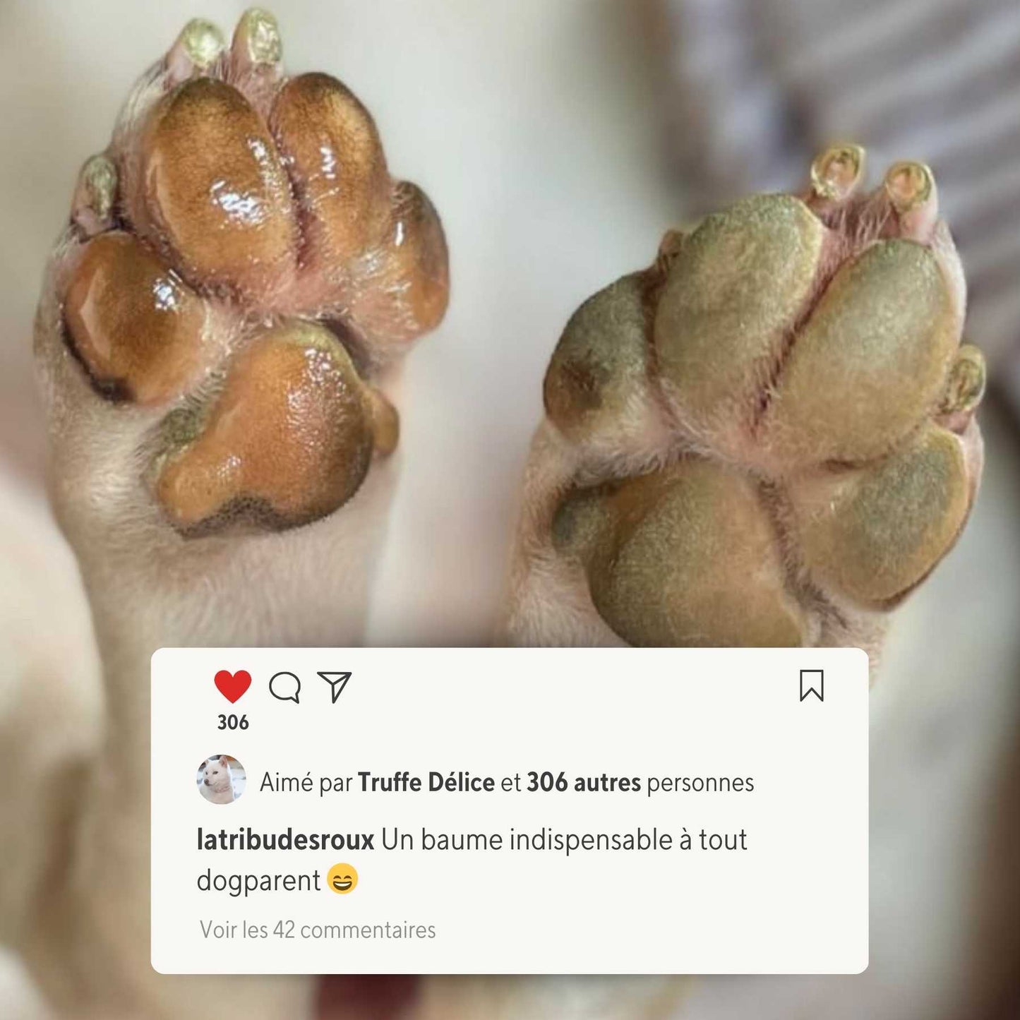 Baume coussinets moelleux