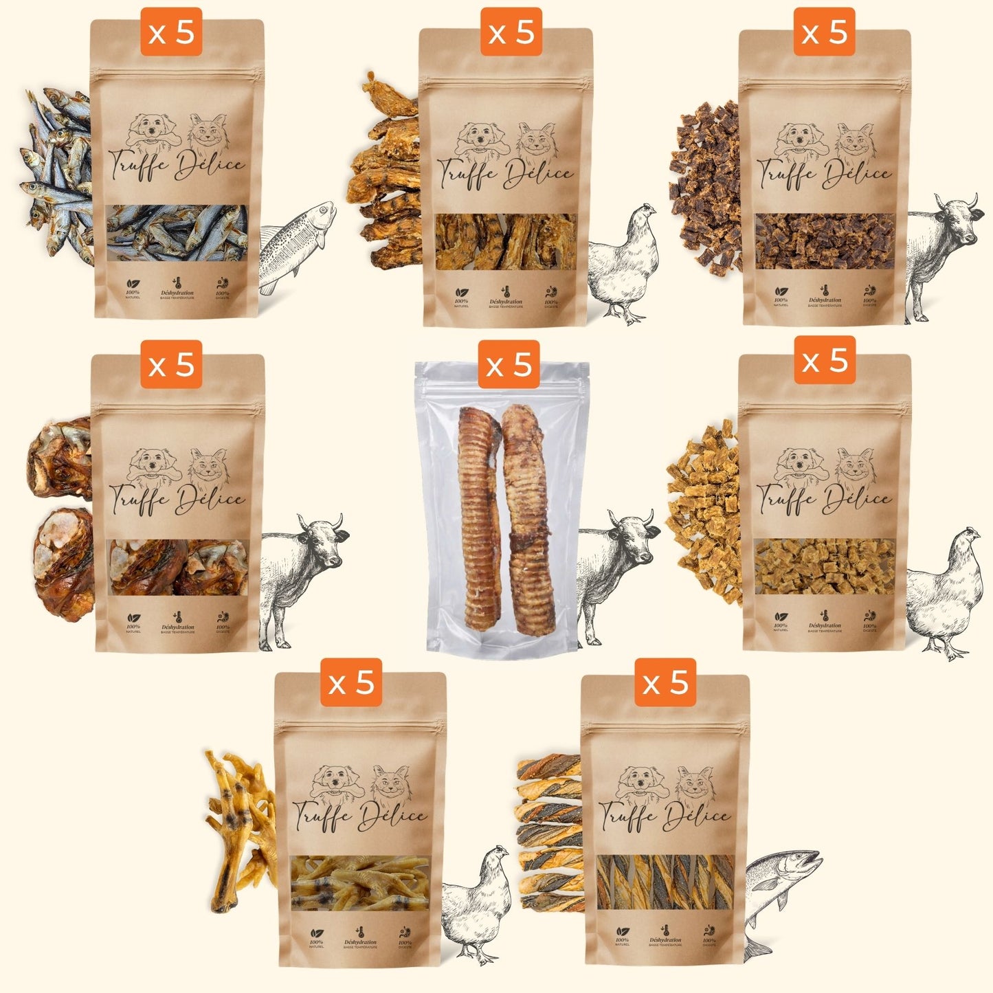 Coffret Découverte