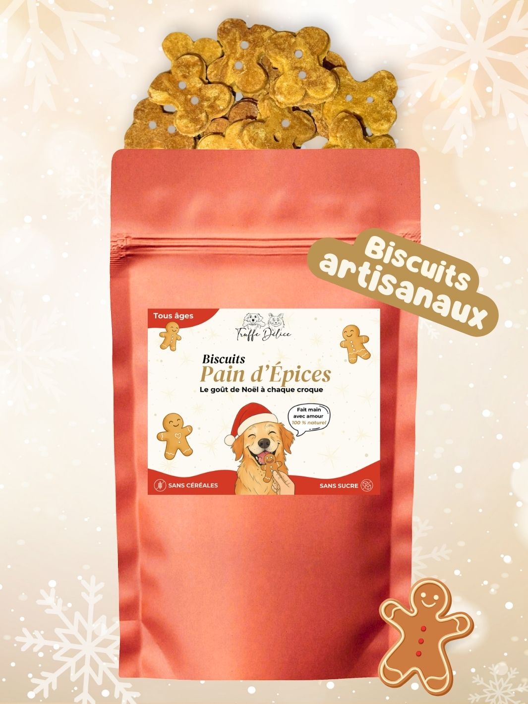 Box de Noël 🐶 (lots de 10 box)