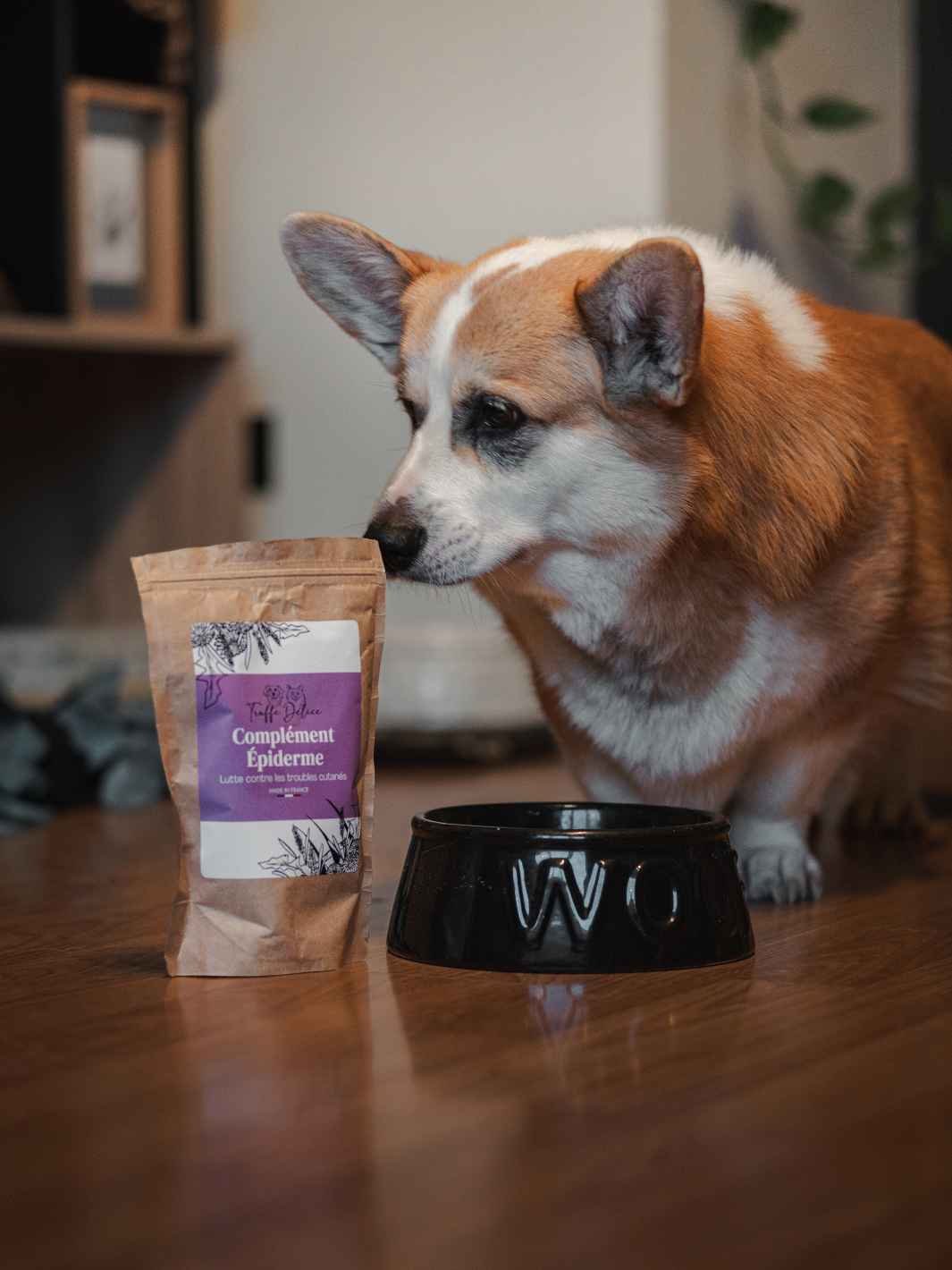 Complement alimentaire poil chien