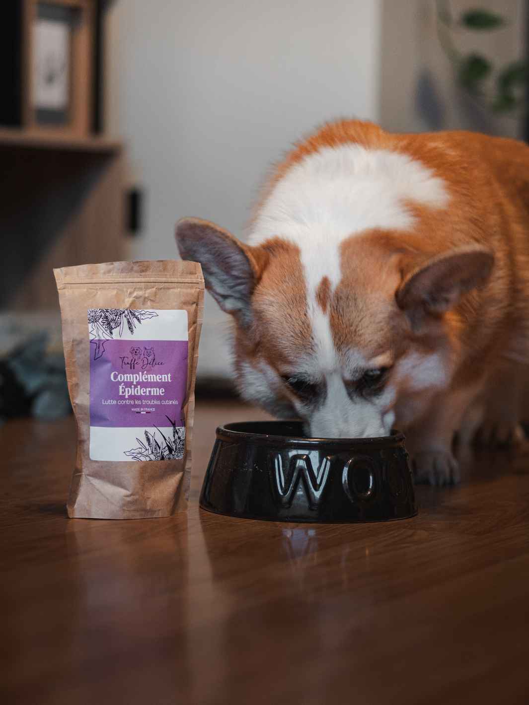 Complement alimentaire poil chien
