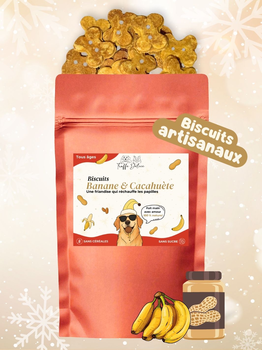 Box de Noël 🐶 (lots de 10 box)