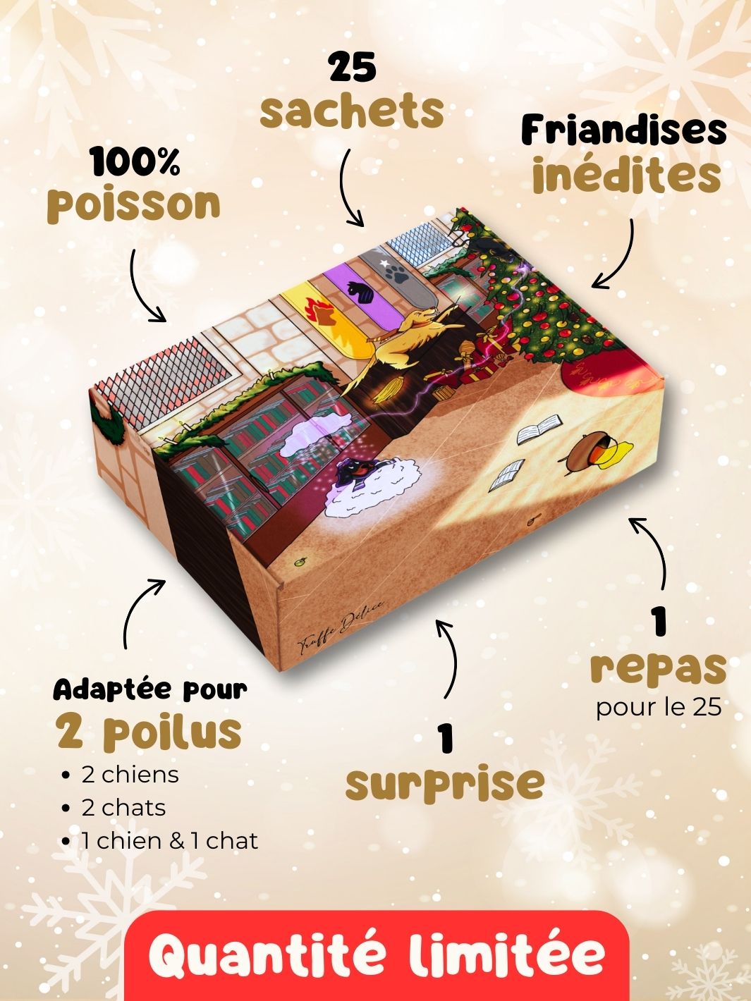 Calendrier de l'Avent 🐶🐱 (lots de 10 box)