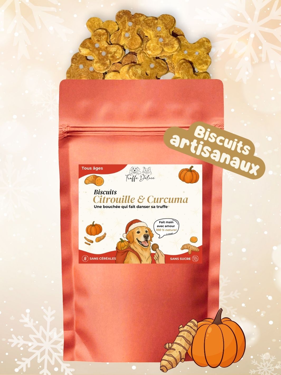 Box de Noël 🐶 (lots de 10 box)