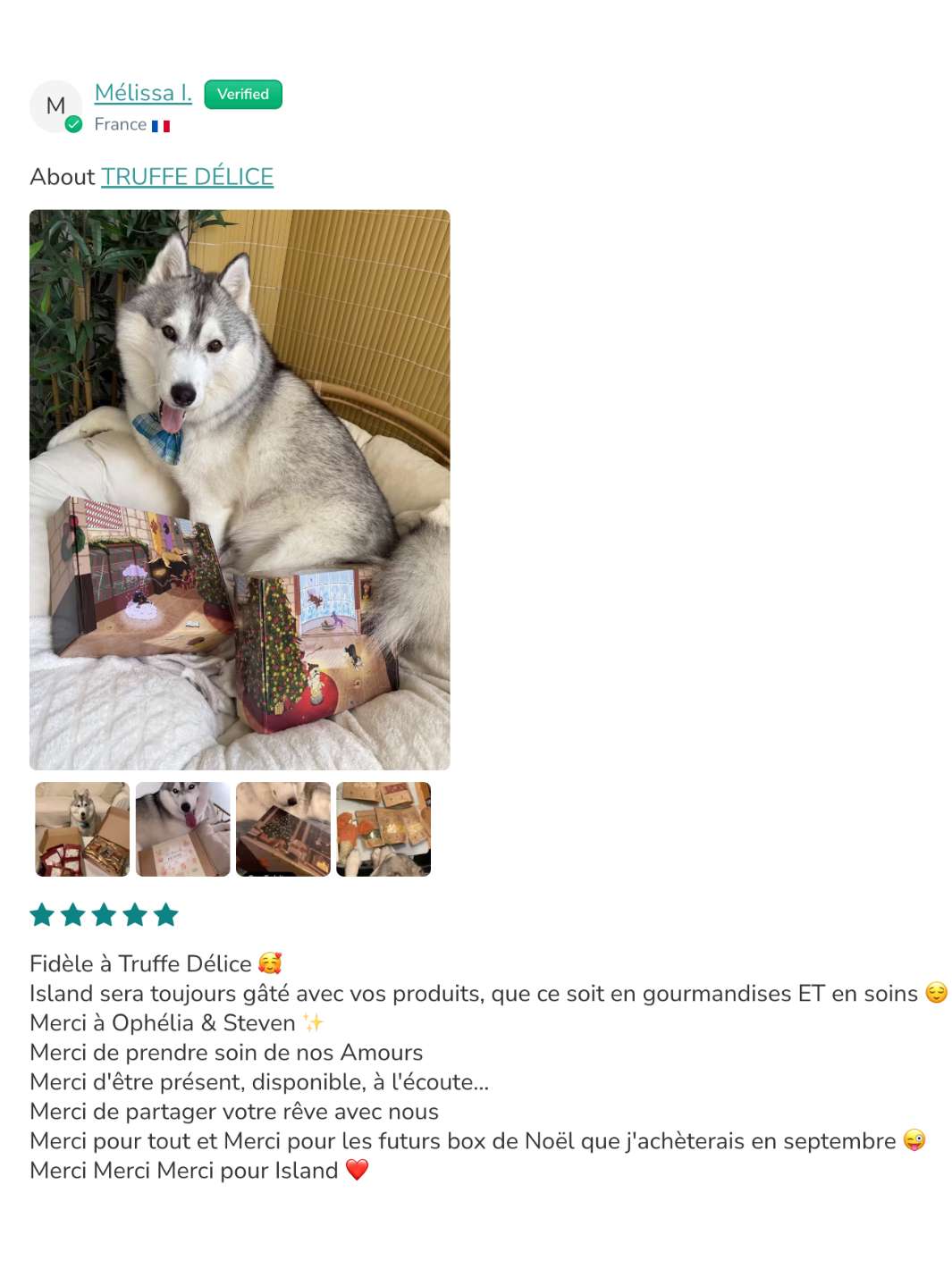 Box de Noël 🐶 (lots de 10 box)