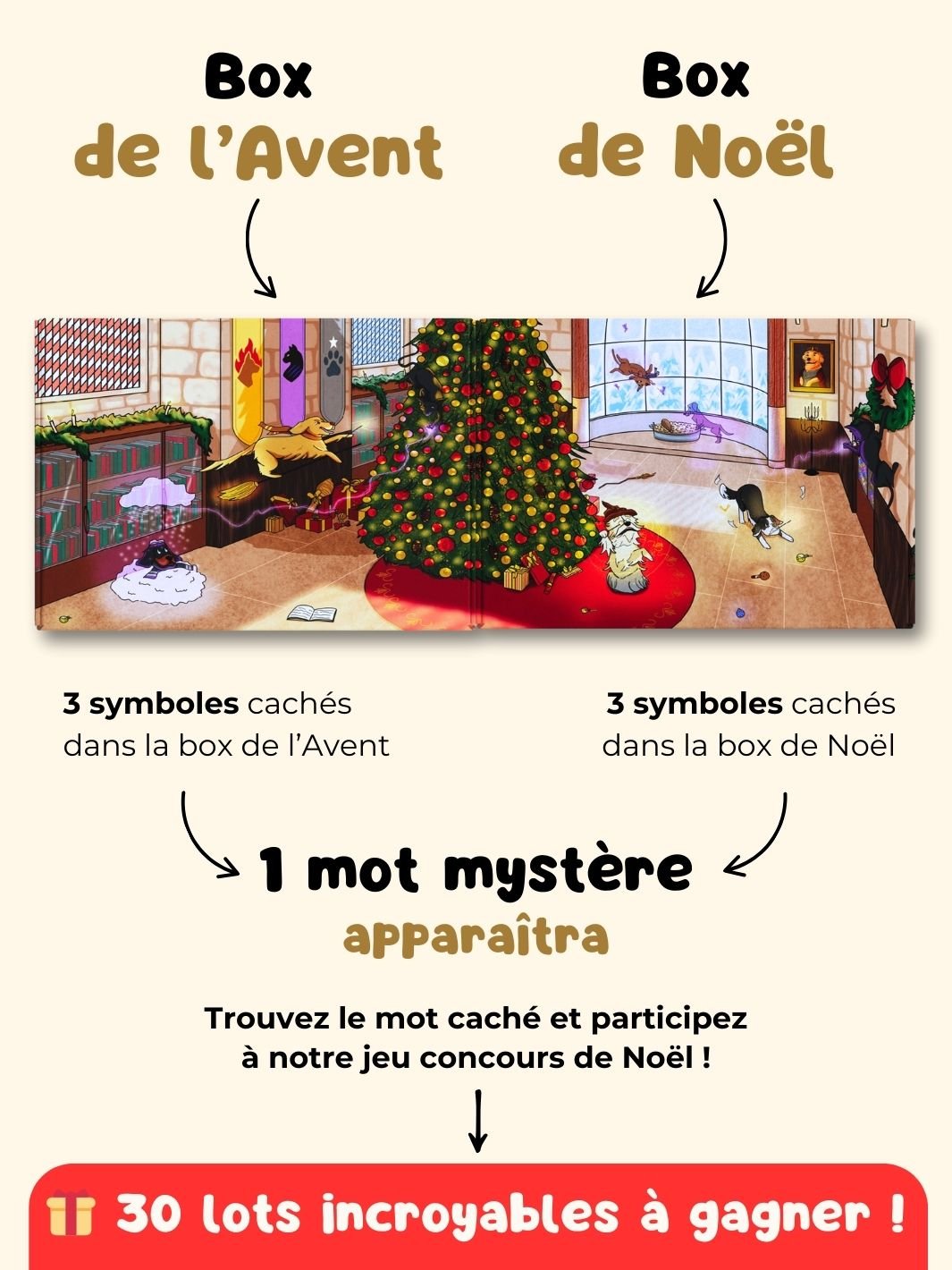 Box de Noël 🐶 (lots de 10 box)