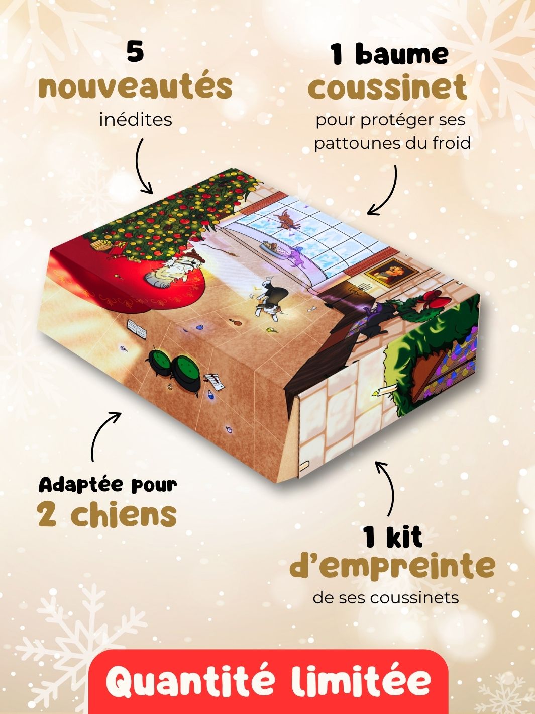 Box de Noël 🐶 (lots de 10 box)