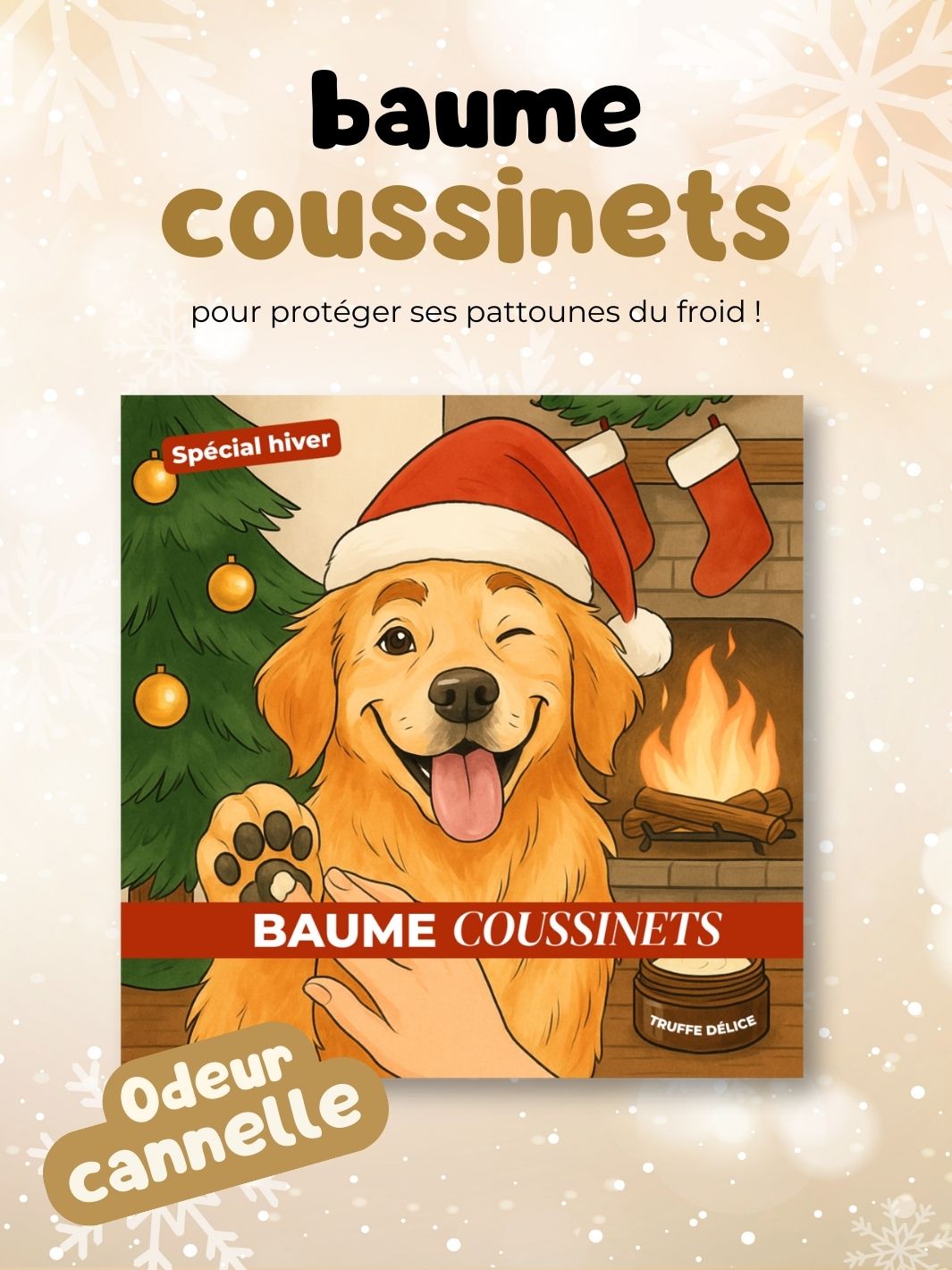 Box de Noël 🐶 (lots de 10 box)