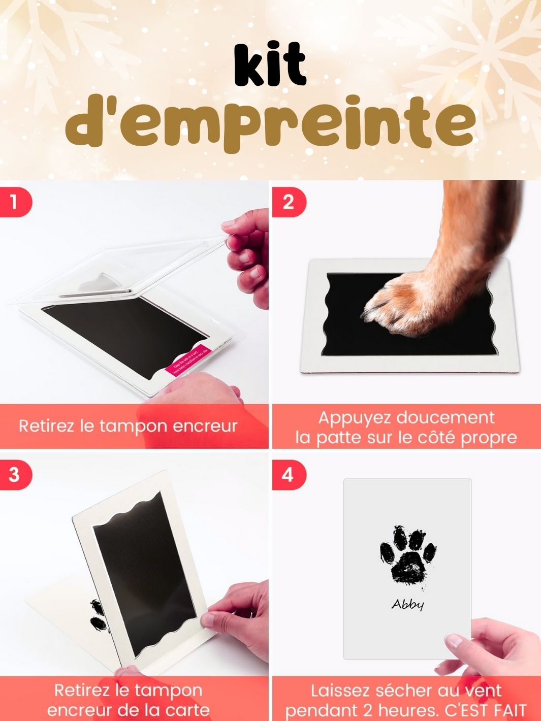 Box de Noël 🐶 (lots de 10 box)