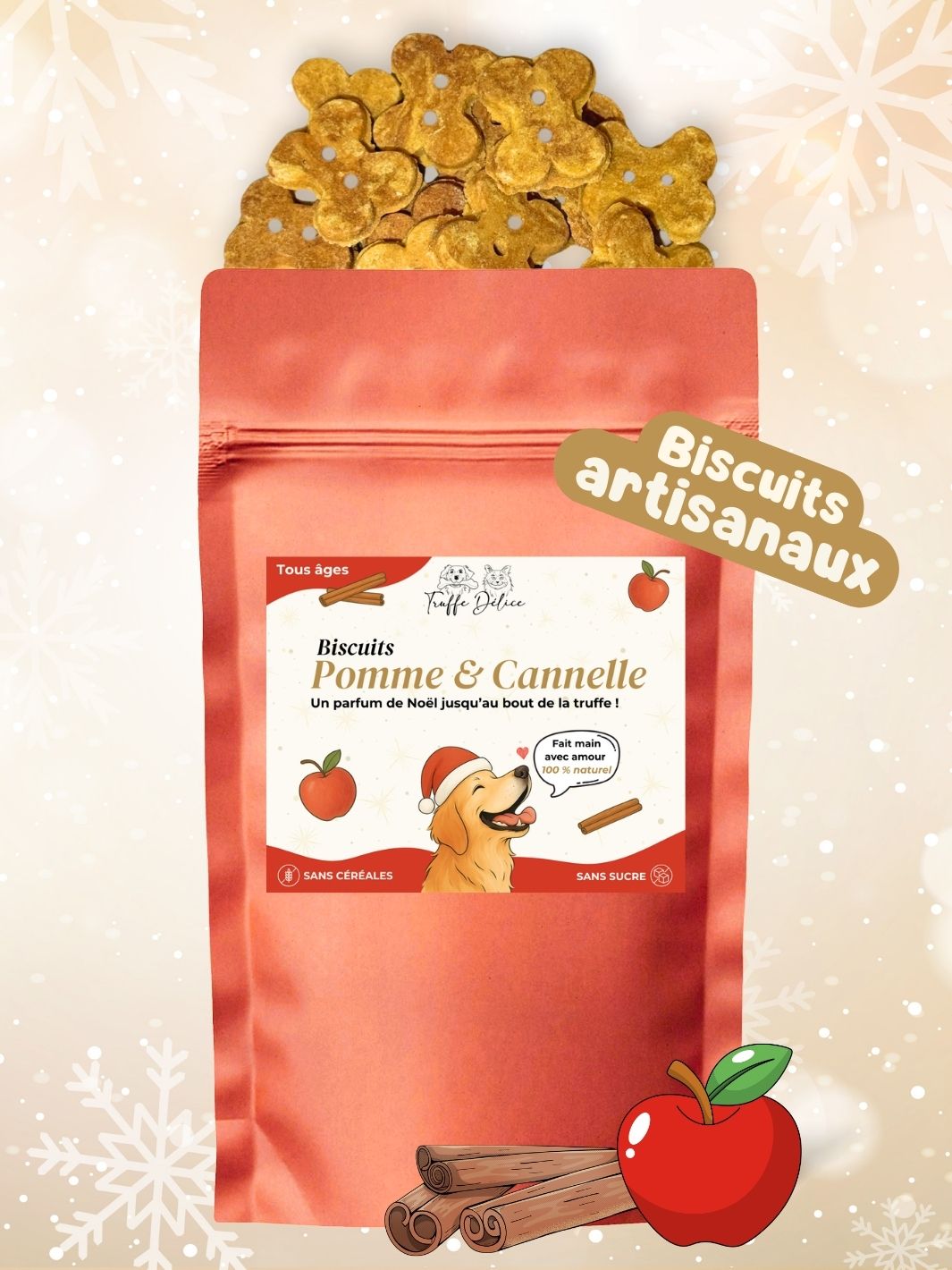 Box de Noël 🐶 (lots de 10 box)