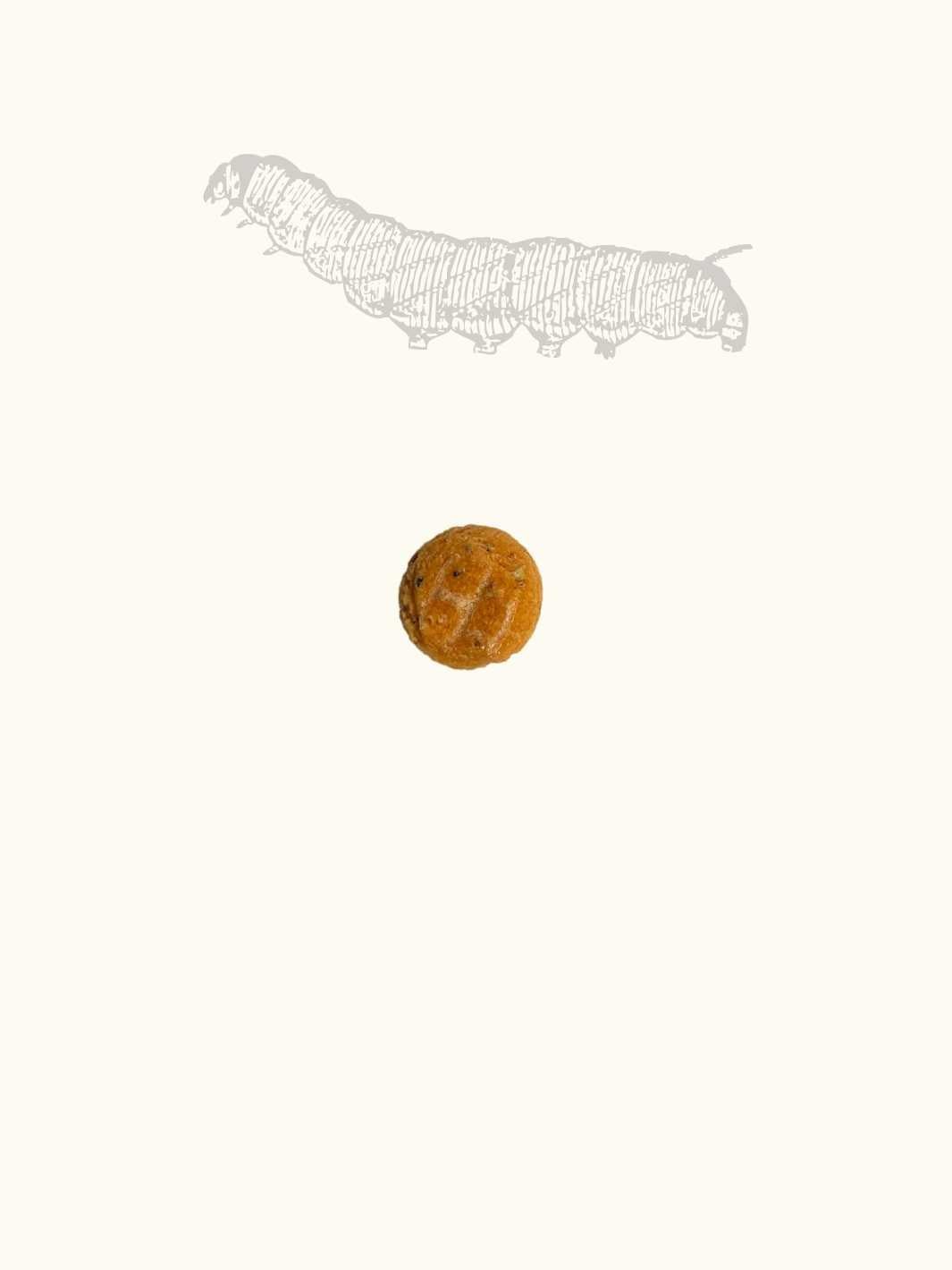 Friandises bombyx du mûrier & carotte - #friandise_naturelle_pour_chien# - Truffe delice
