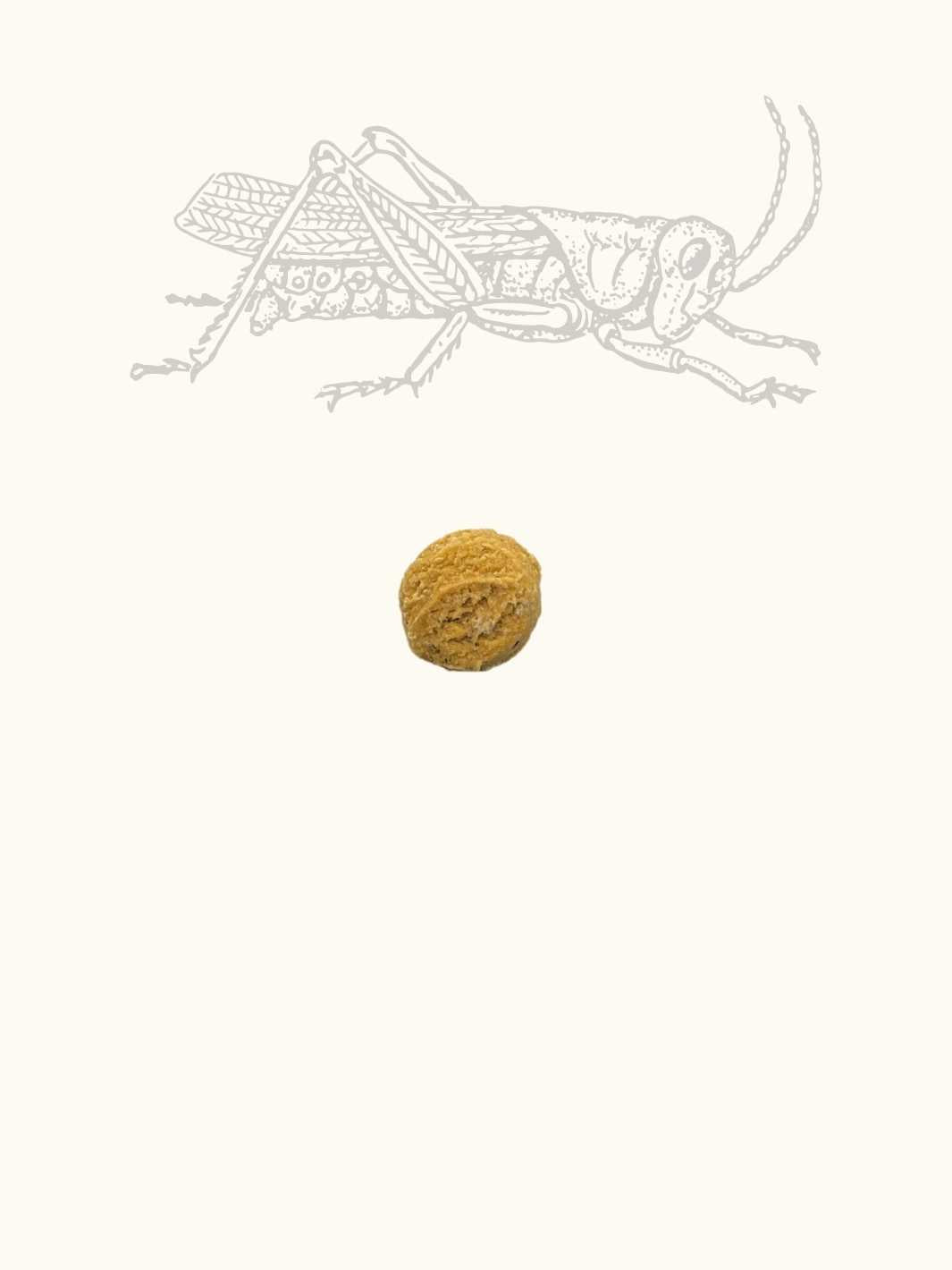 Friandises criquet & patate douce - #friandise_naturelle_pour_chien# - Truffe delice