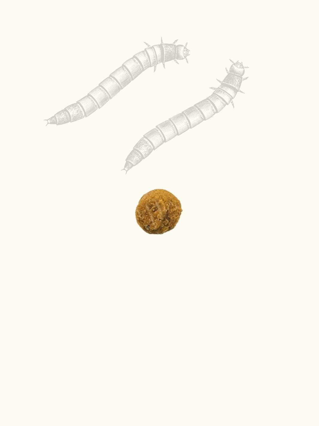 Friandises vers de farine & citrouille - #friandise_naturelle_pour_chien# - Truffe delice