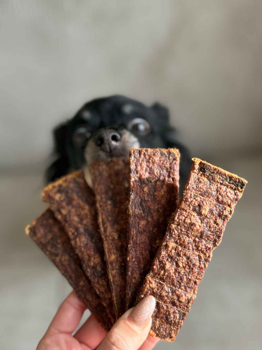 Lamelles de biche - #friandise_naturelle_pour_chien# - Truffe delice