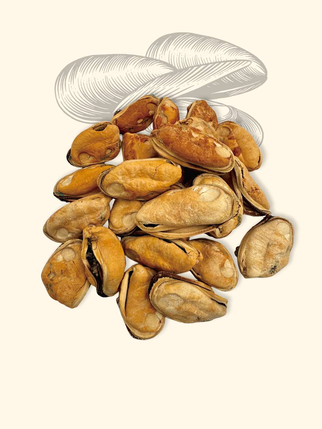 Moules chien