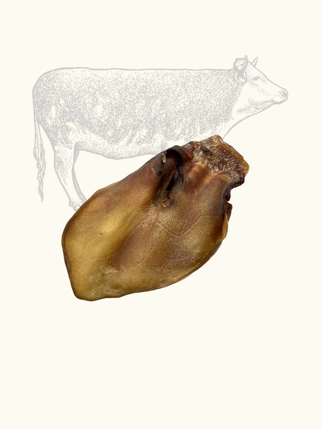 Oreilles de bœuf - #friandise_naturelle_pour_chien# - Truffe delice