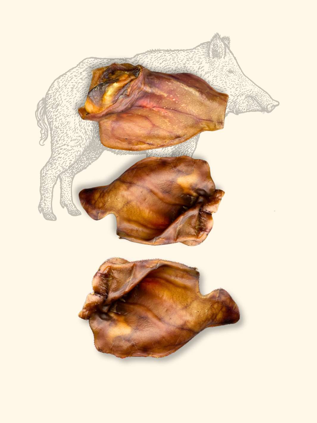 Oreilles de sanglier