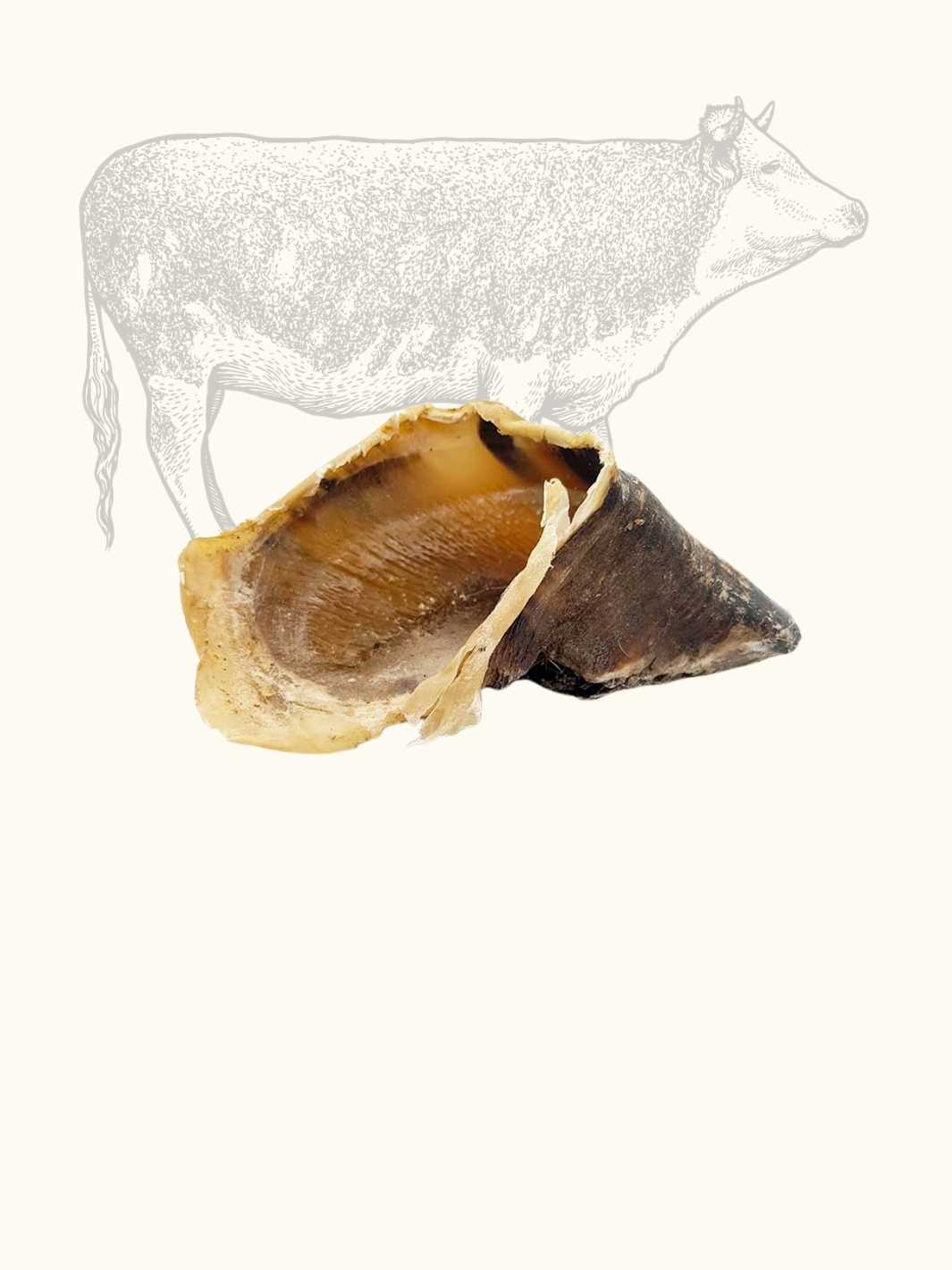 Sabot de bœuf - #friandise_naturelle_pour_chien# - Truffe delice