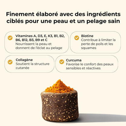 Complement alimentaire poil chien