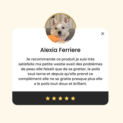 Complement alimentaire poil chien