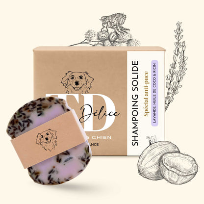 Shampoing anti puce chien