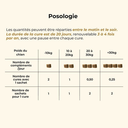 Complement alimentaire poil chien