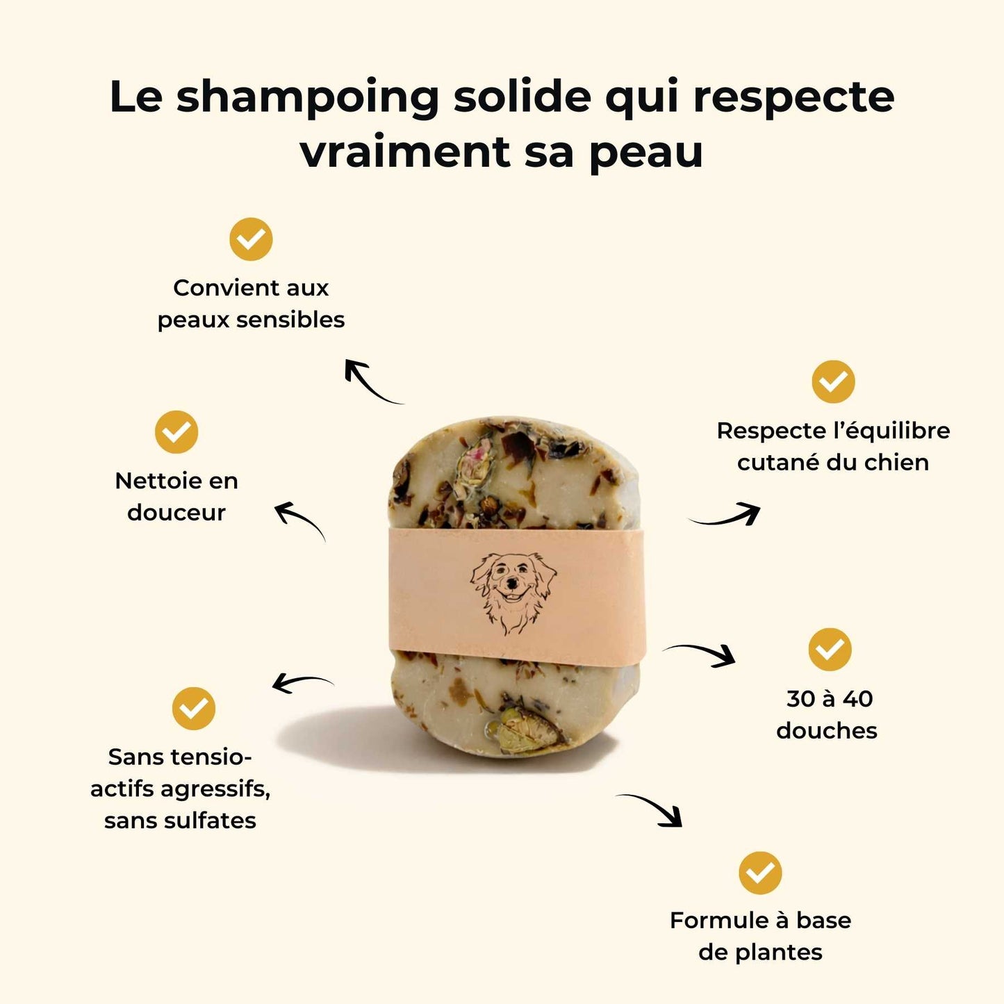 Shampoing peau sensible chien