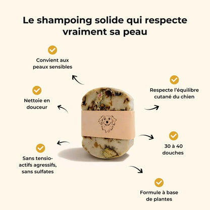 Shampoing peau sensible chien