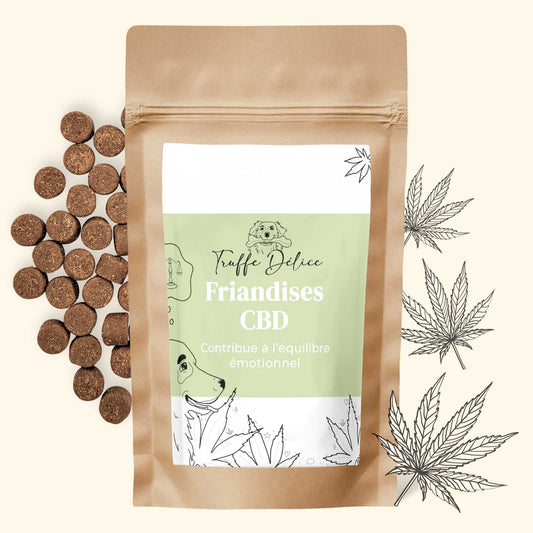 Friandises CBD chien