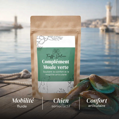 Moule verte chien