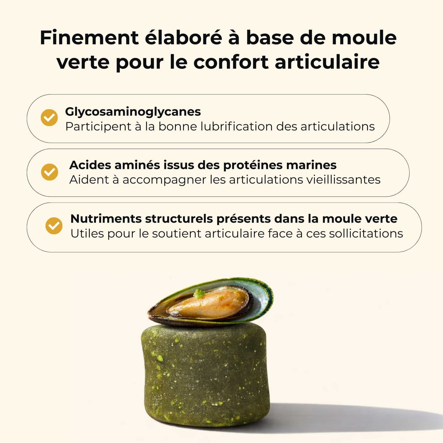 Moule verte chien
