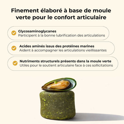 Moule verte chien
