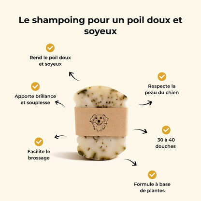 Shampoing spécial poil soyeux