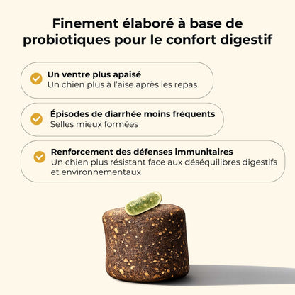 Probiotique chien