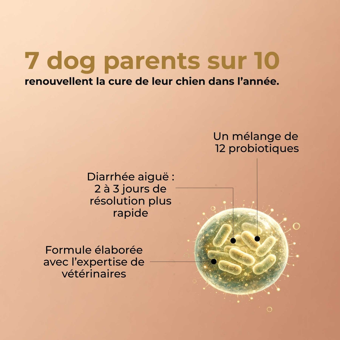 Probiotique chien