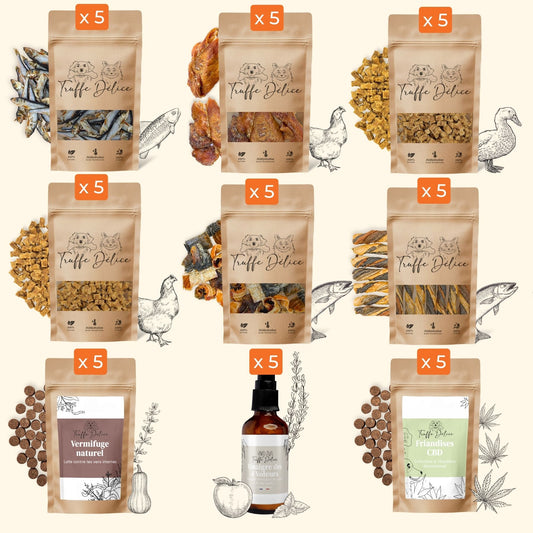 Coffret top ventes ⭐️