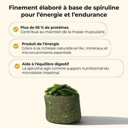 Spiruline chien