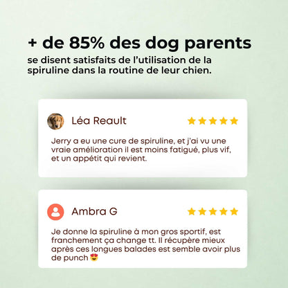 Spiruline chien