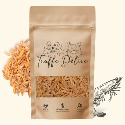 Crevettes chien