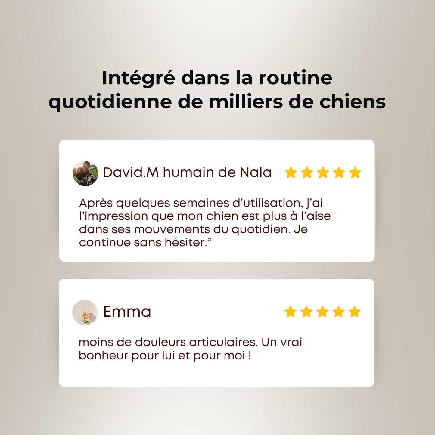 Complément alimentaire chien articulation