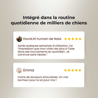 Complément alimentaire chien articulation