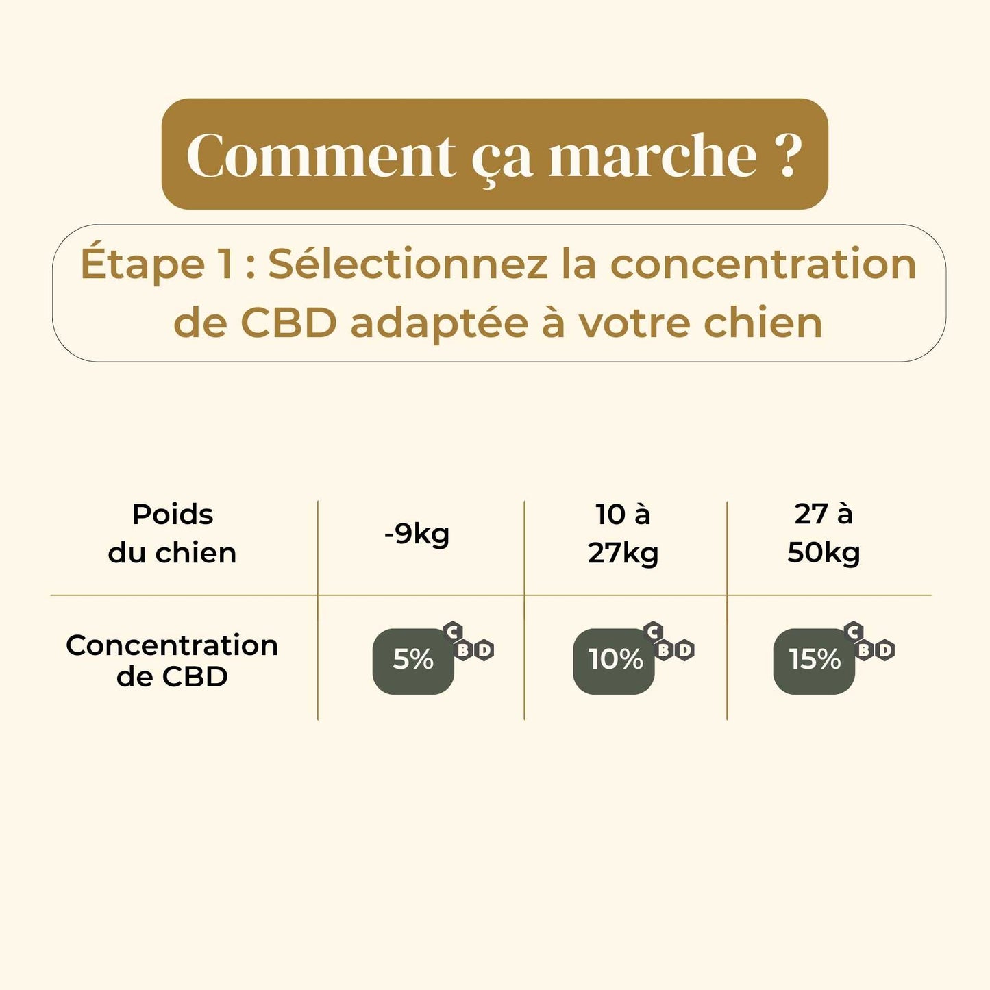 Huile CBD chien