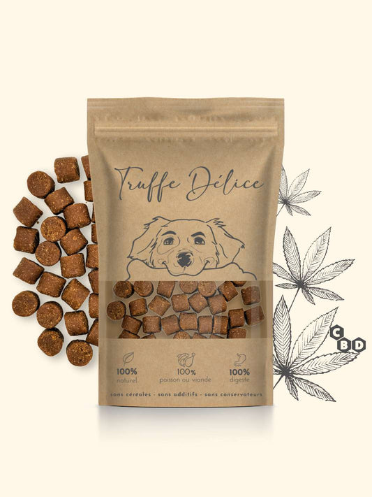 Friandises cbd chien