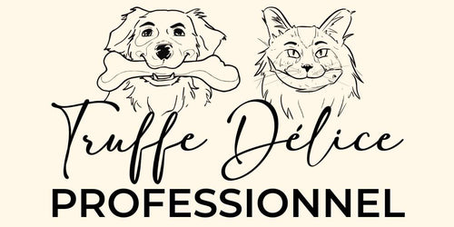 B2B - TRUFFE DÉLICE