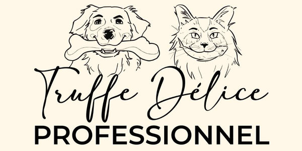 B2B - TRUFFE DÉLICE
