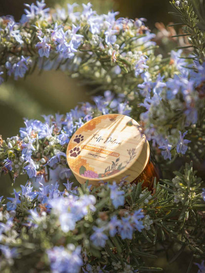 Baume coussinets moelleux - #friandise_naturelle_pour_chien# - Truffe delice