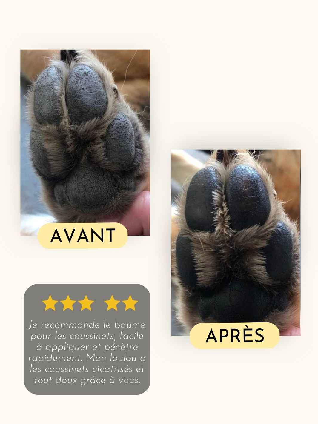 Baume coussinets moelleux - #friandise_naturelle_pour_chien# - Truffe delice