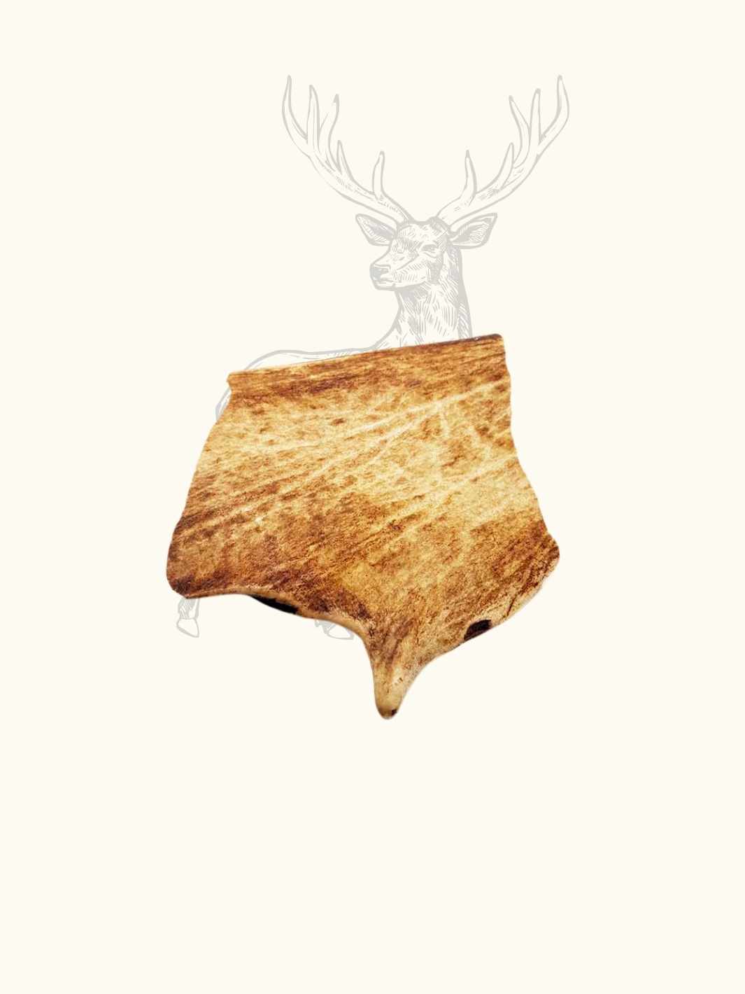 Bois de daim - #friandise_naturelle_pour_chien# - Truffe delice
