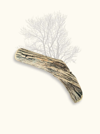 Bois de Sekelbos